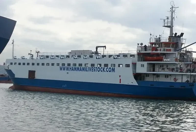 NADER A General Cargo IMO 7611547 photo 5