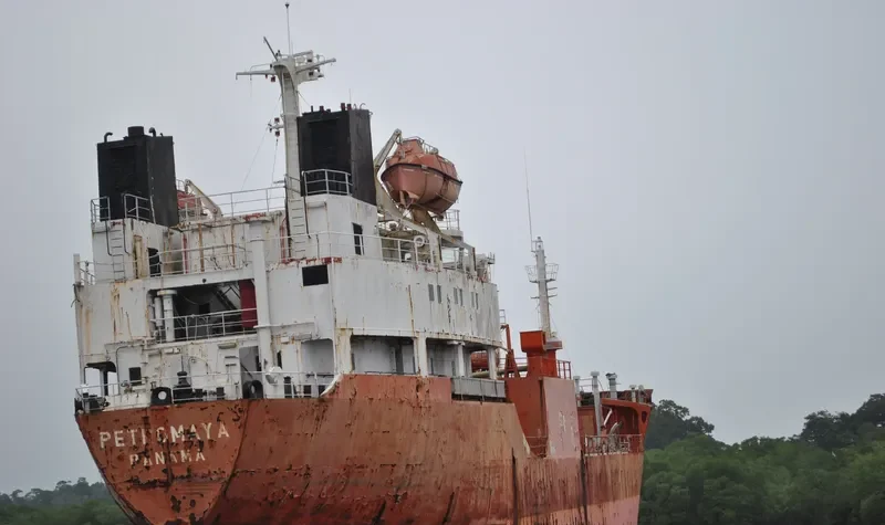 PETROMAYA General Cargo IMO 7611781 photo 3