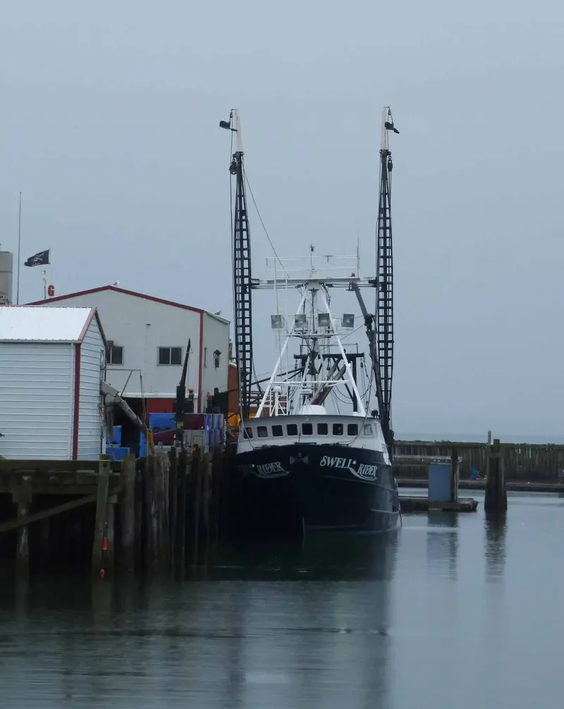 SWELL RIDER Fishing Vessel IMO 7612008 photo 5