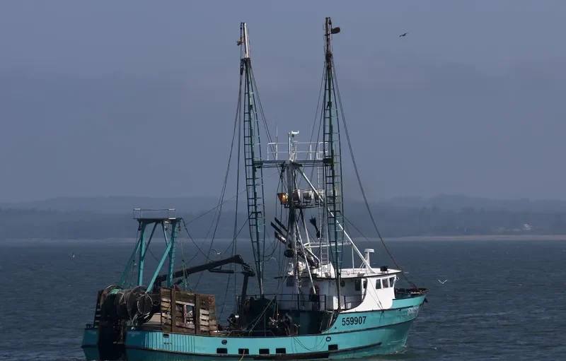 SWELL RIDER Fishing Vessel IMO 7612008 photo 6