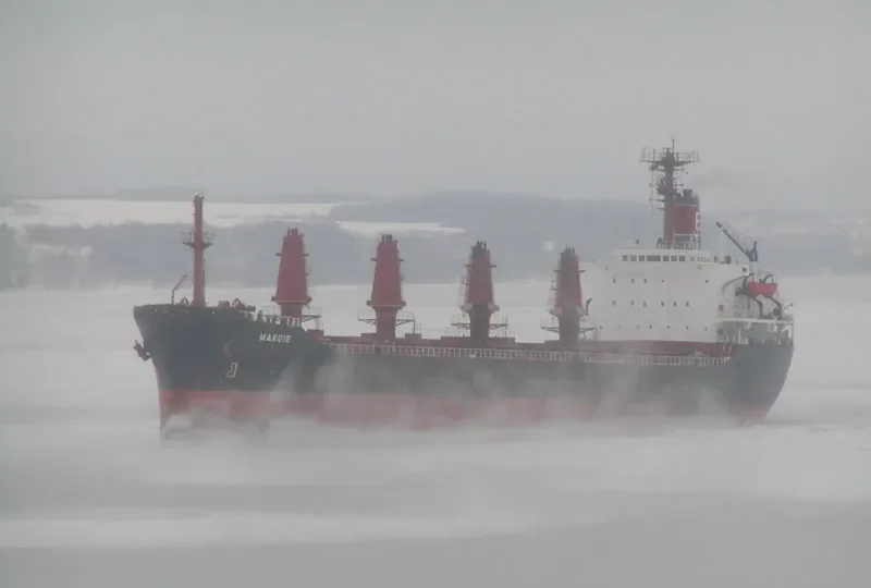 LUCKY SAFE Bulk Carrier IMO 7612230