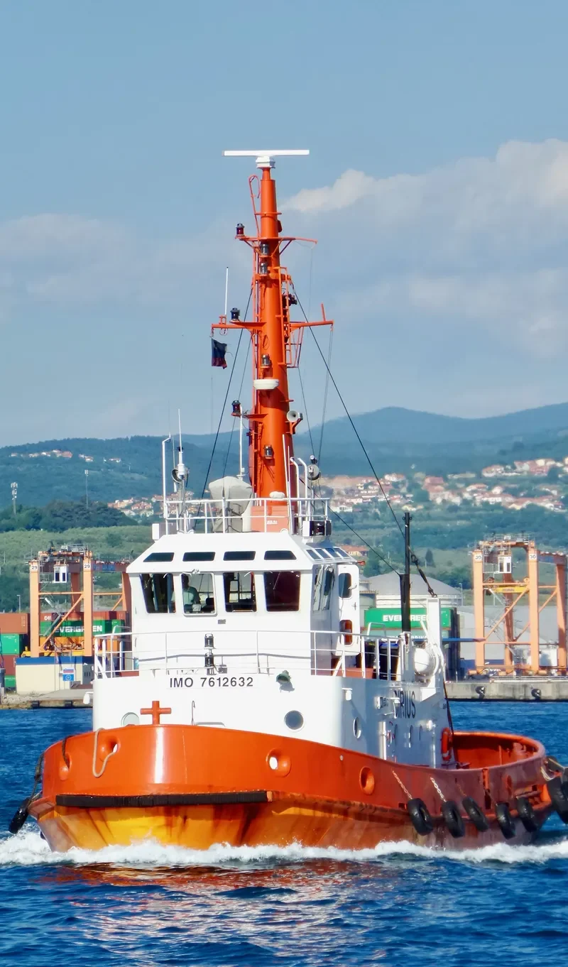 SIRIUS Tug Boat IMO 7612632 photo 2