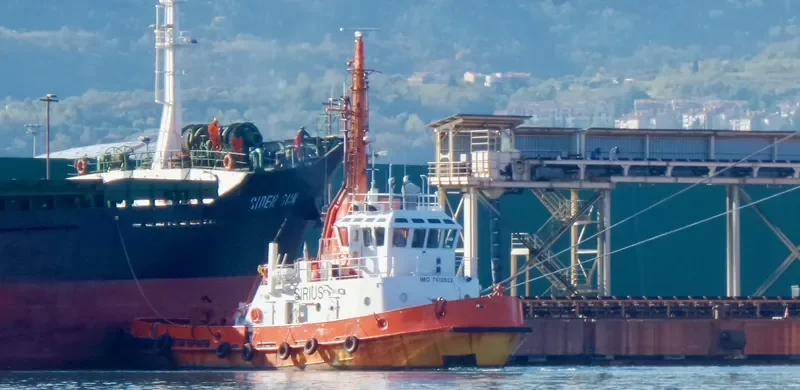SIRIUS Tug Boat IMO 7612632 photo 8