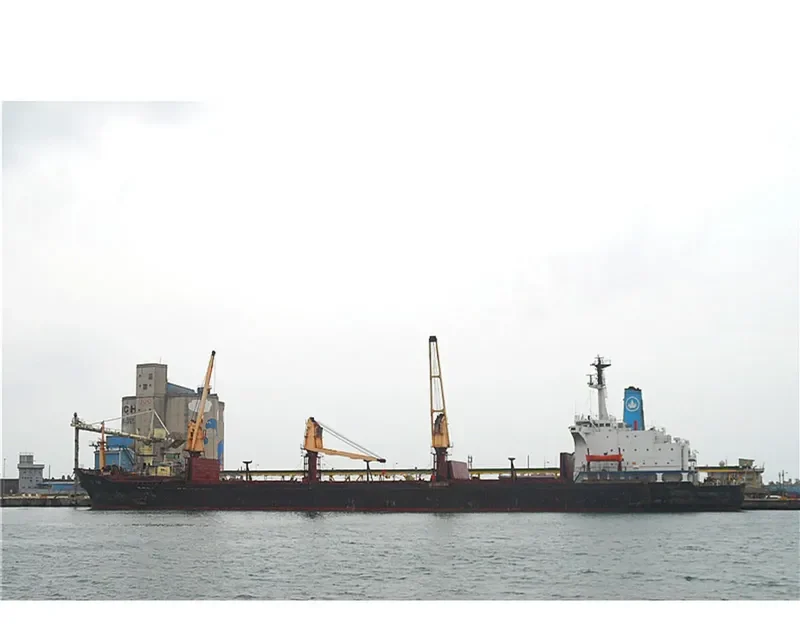 FU TAI Bulk Carrier IMO 7612797 photo 3