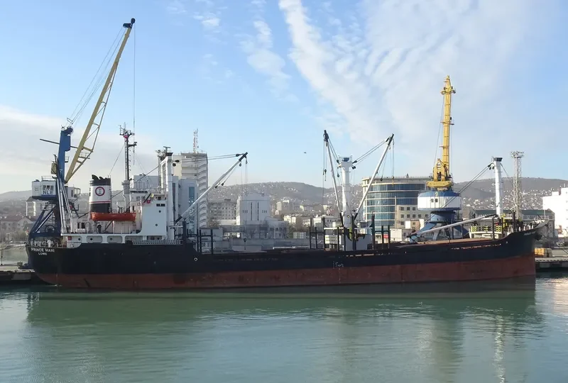 PRINCE HANI General Cargo IMO 7612838 photo 3