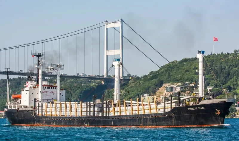 PRINCE HANI General Cargo IMO 7612838 photo 8