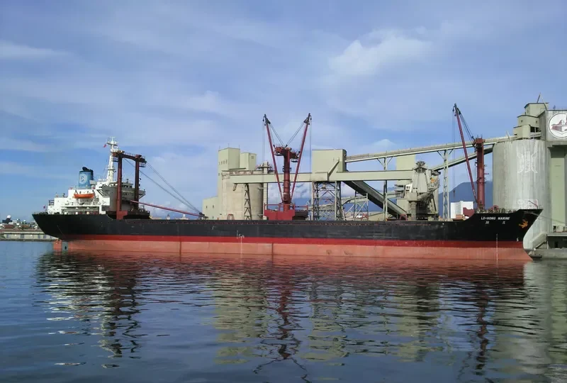 LI HONG MARINE Bulk Carrier IMO 7612981