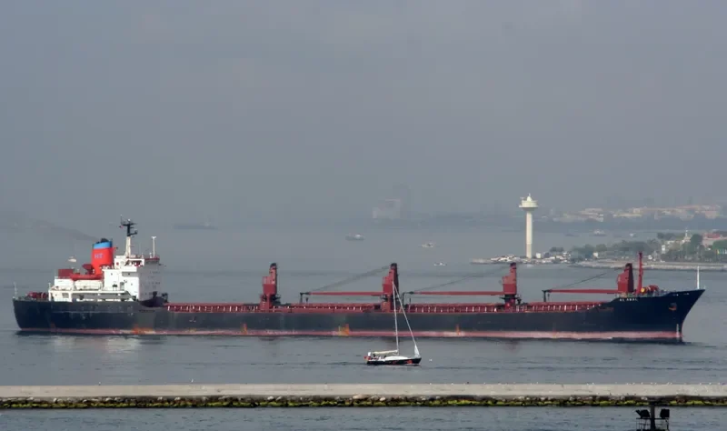 AL AMAL Bulk Carrier IMO 7613466