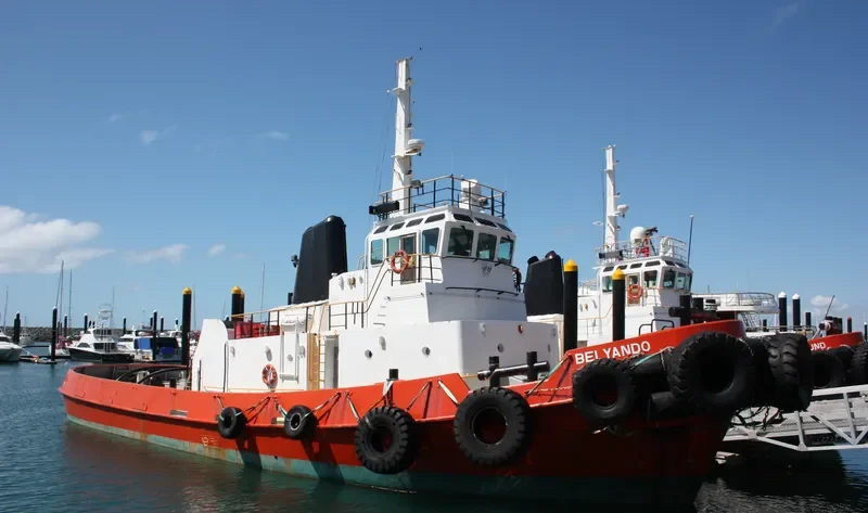 BELYANDO Tug Boat IMO 7613765 photo 3