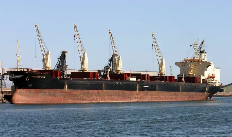 BOGASARI Bulk Carrier IMO 7613985 photo 3