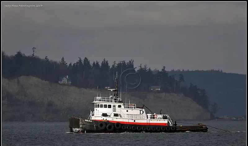 MALOLO General Cargo IMO 7614082 photo 6