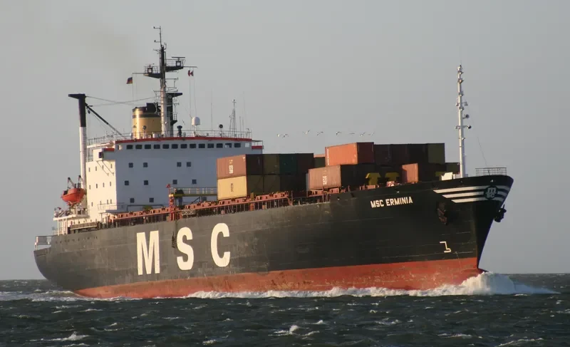 MSC ERMINIA Container Ship IMO 7614381 photo 2