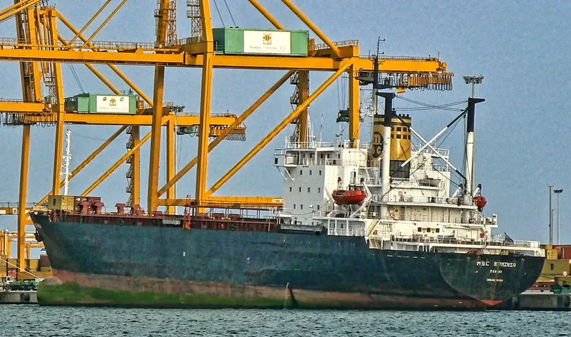 MSC ERMINIA Container Ship IMO 7614381 photo 3