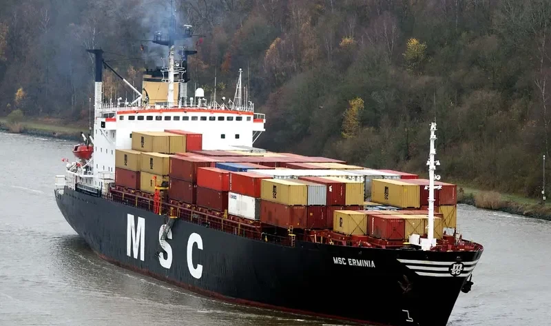 MSC ERMINIA Container Ship IMO 7614381 photo 6