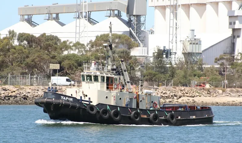 TICKERA Tug Boat IMO 7614563 photo 7