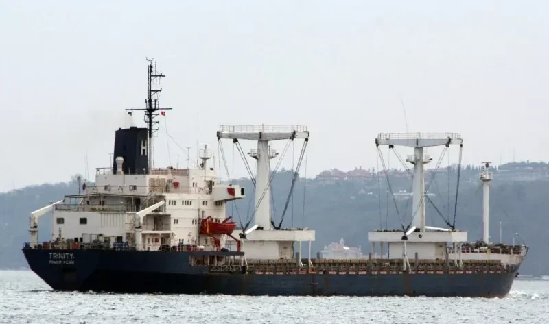 DIAMOND S Bulk Carrier IMO 7614965 photo 2