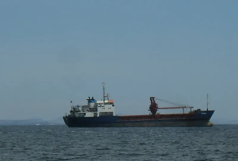 BANYAS 1 General Cargo IMO 7615036 photo 8