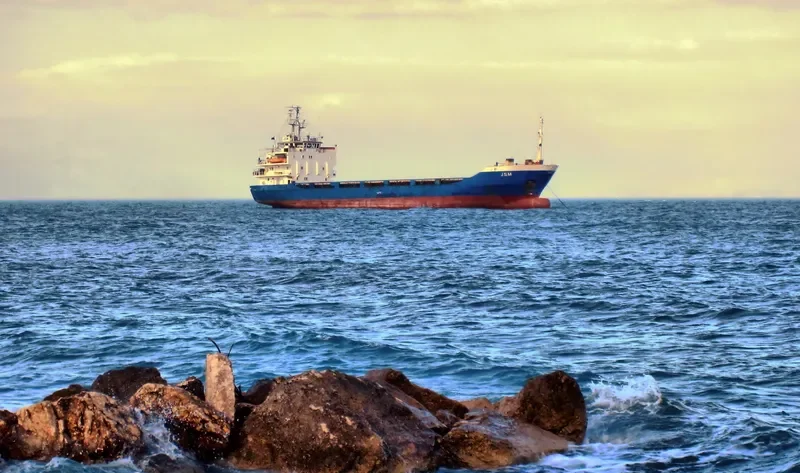 BANYAS 1 General Cargo IMO 7615036 photo 10