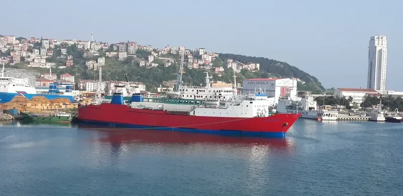ASI Ro-Ro IMO 7615347 photo 8