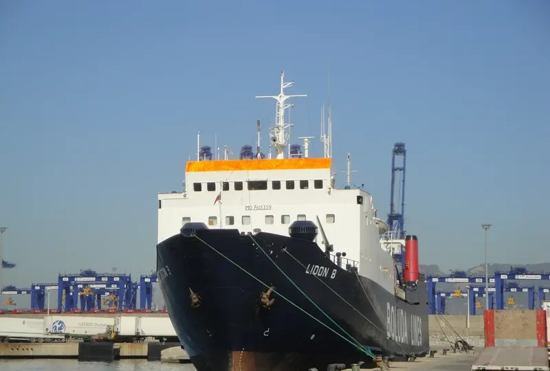 LION A Ro-Ro IMO 7615359 photo 6