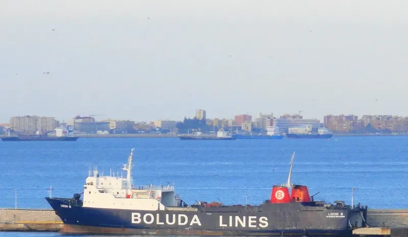 LION A Ro-Ro IMO 7615359 photo 7