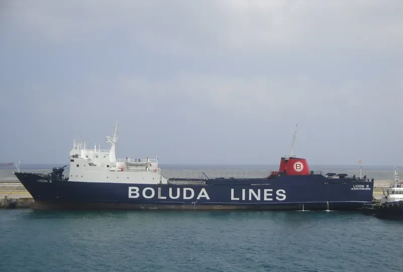 LION A Ro-Ro IMO 7615359 photo 8
