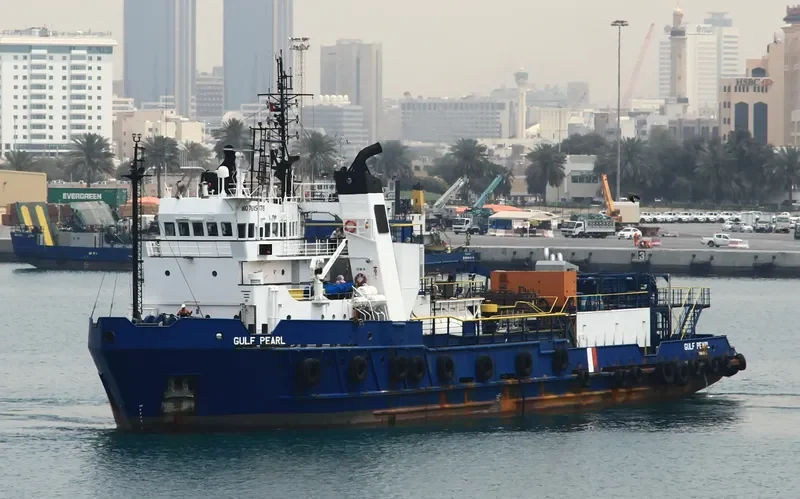 WSI GULF PEARL General Cargo IMO 7615878 photo 4