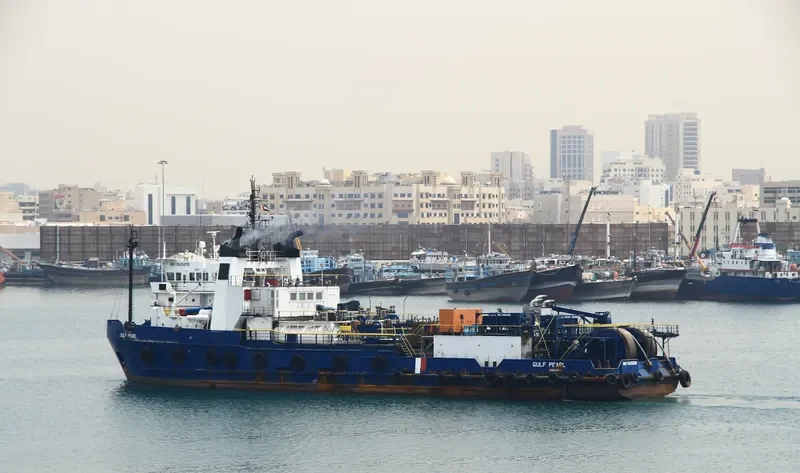 WSI GULF PEARL General Cargo IMO 7615878 photo 5