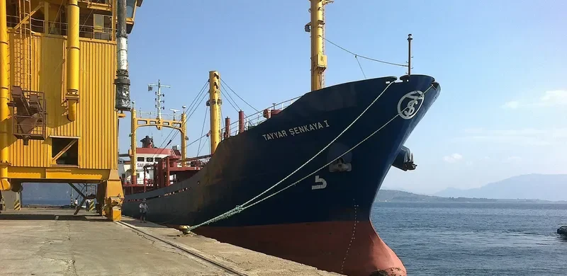 TAYYAR SENKAYA 1 General Cargo IMO 7615957 photo 5