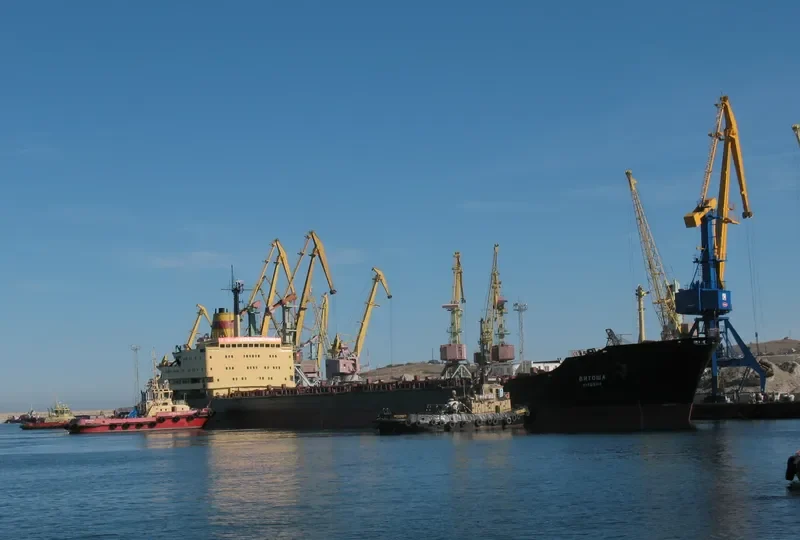 VITOSHA Bulk Carrier IMO 7615995 photo 2