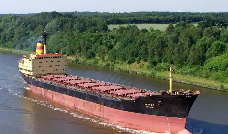 VITOSHA Bulk Carrier IMO 7615995 photo 4