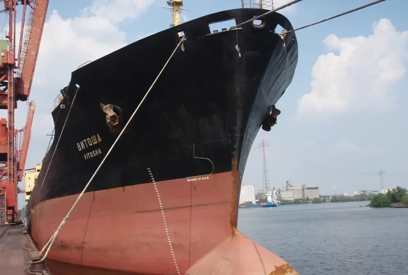 VITOSHA Bulk Carrier IMO 7615995 photo 5