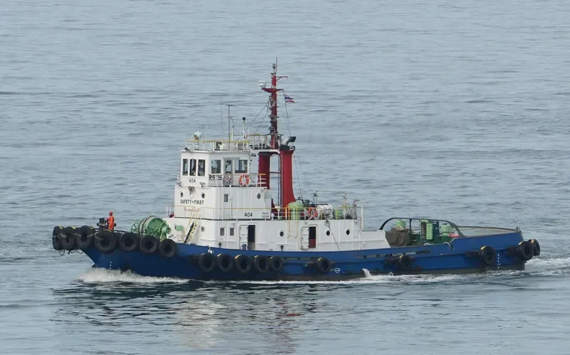 RS 29 General Cargo IMO 7616341
