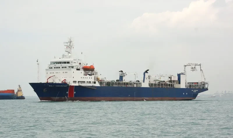 BOLD ENDURANCE General Cargo IMO 7616781 photo 4