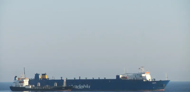 GIGANTE Ro-Ro Vessel IMO 7617735