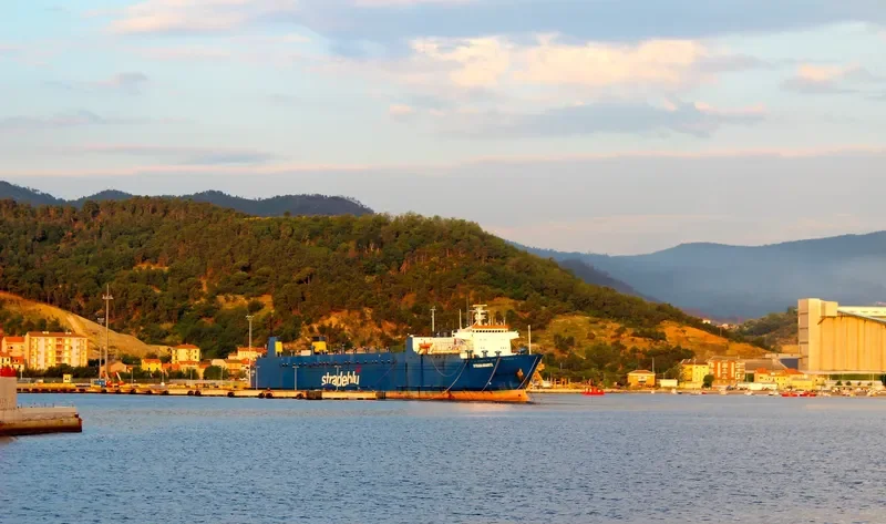 GIGANTE Ro-Ro Vessel IMO 7617735 photo 5