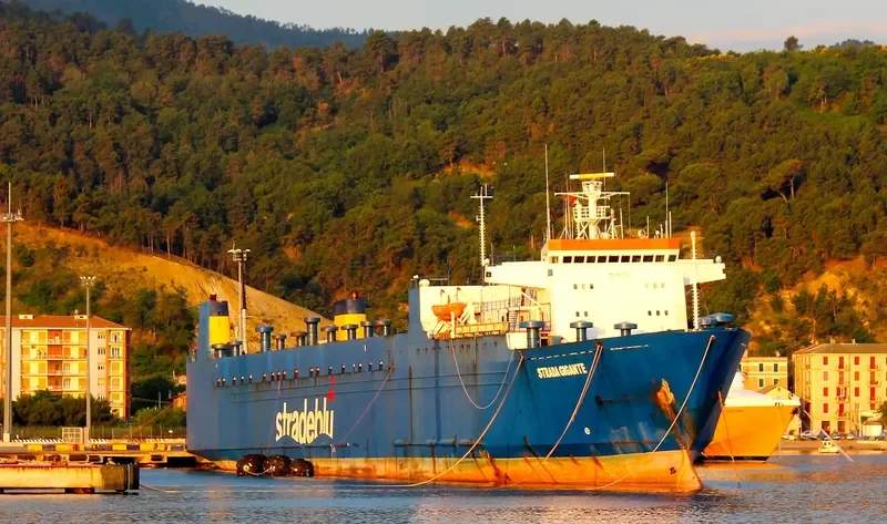 GIGANTE Ro-Ro Vessel IMO 7617735 photo 7