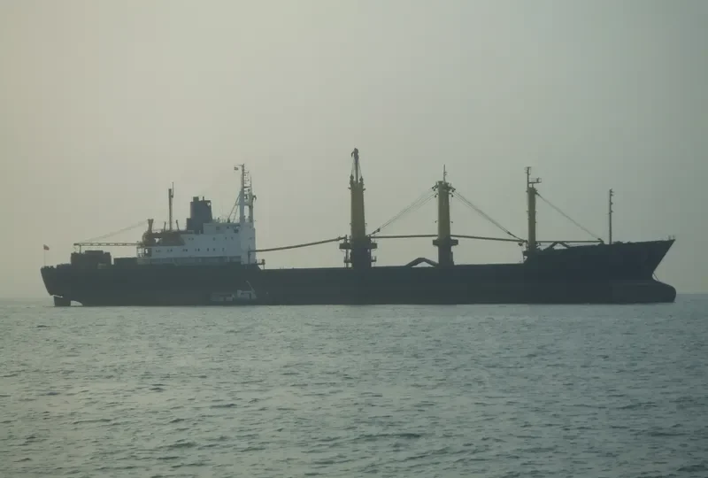 MARKOVO General Cargo Vessel IMO 7617888