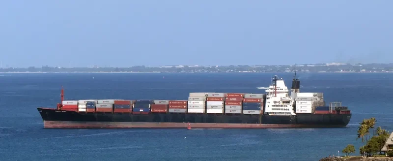 HORIZON PACIFIC Container Ship IMO 7617890 photo 2