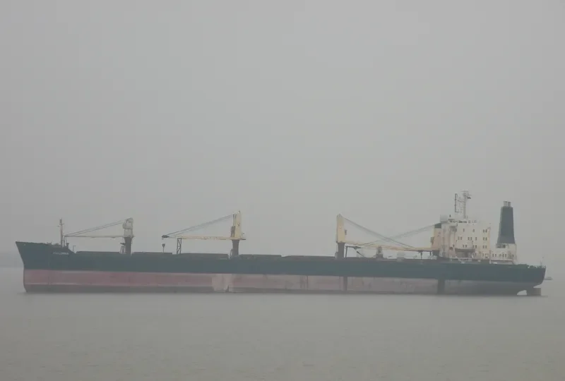 PAULOWNIA Bulk Carrier IMO 7617967