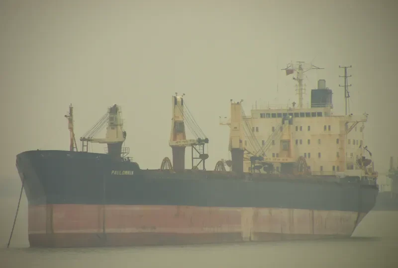 PAULOWNIA Bulk Carrier IMO 7617967 photo 2