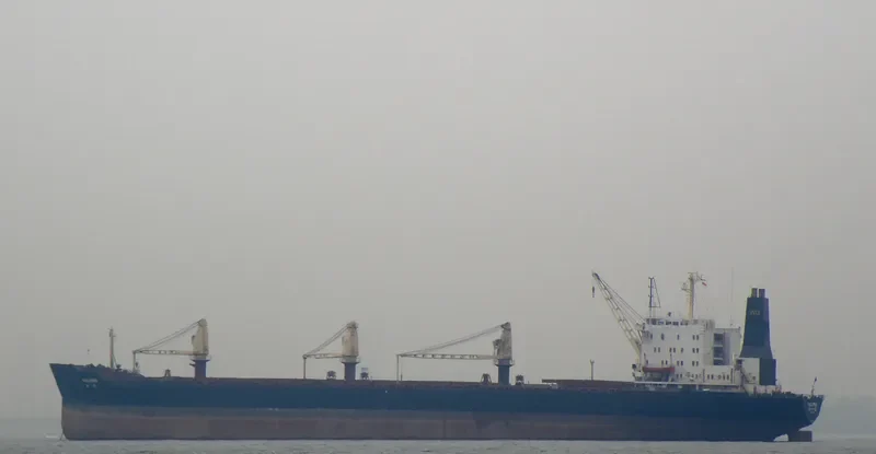 PAULOWNIA Bulk Carrier IMO 7617967 photo 3