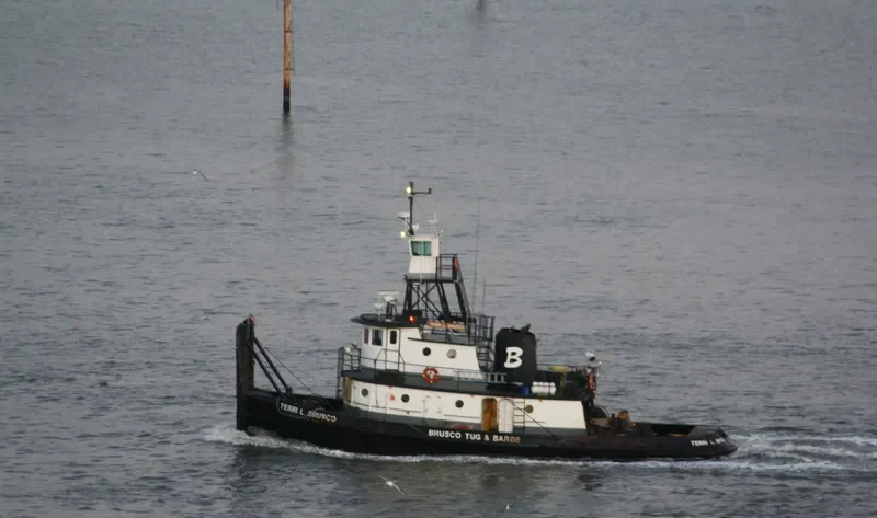 TERRI L.BRUSCO General Cargo IMO 7618155
