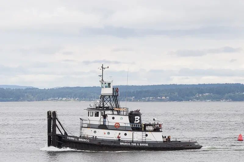 TERRI L.BRUSCO General Cargo IMO 7618155 photo 3