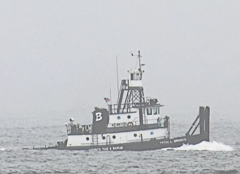 TERRI L.BRUSCO General Cargo IMO 7618155 photo 7