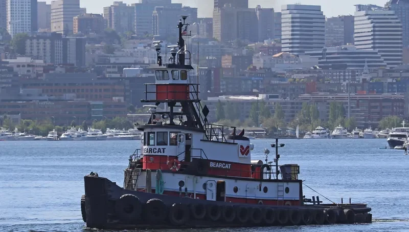 BEARCAT General Cargo IMO 7618167 photo 5