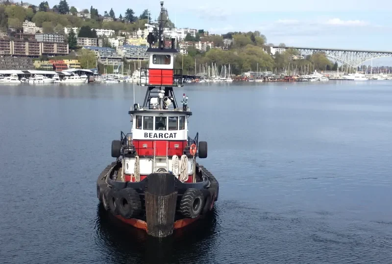 BEARCAT General Cargo IMO 7618167 photo 9