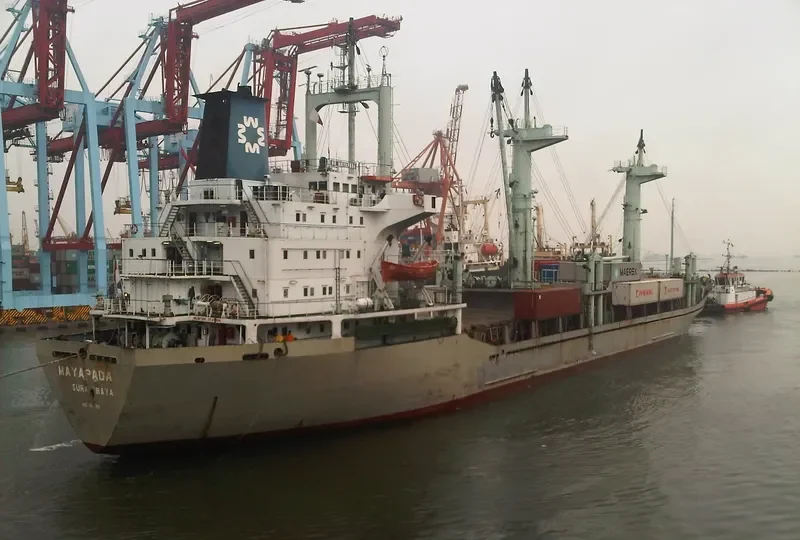 MAYAPADA General Cargo IMO 7619068