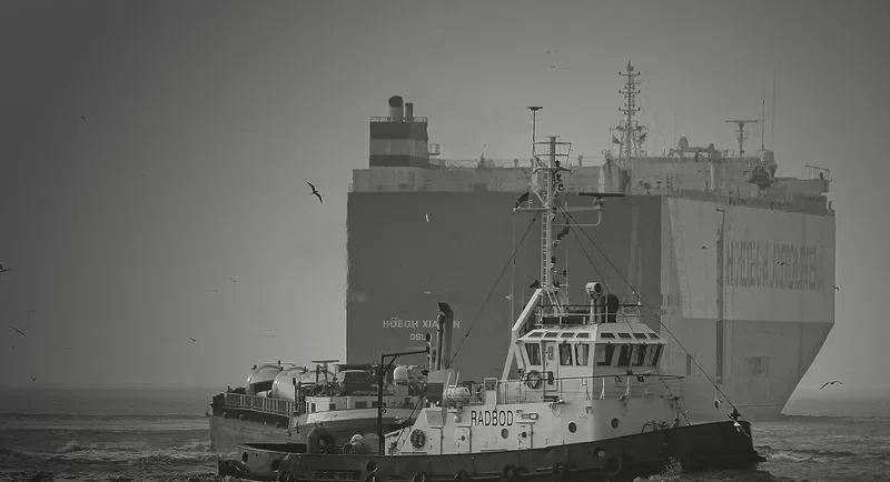 RADBOD Tug Boat IMO 7619288 photo 2