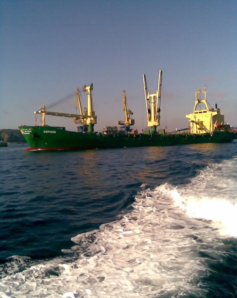 COPIHUE General Cargo IMO 7619329 photo 4